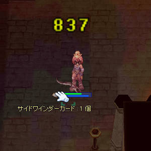 �T�C�h���C���_�[�J�[�h�i���A�j